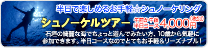 石垣島シュノーケリングツアー