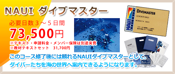 NAUIダイブマスター