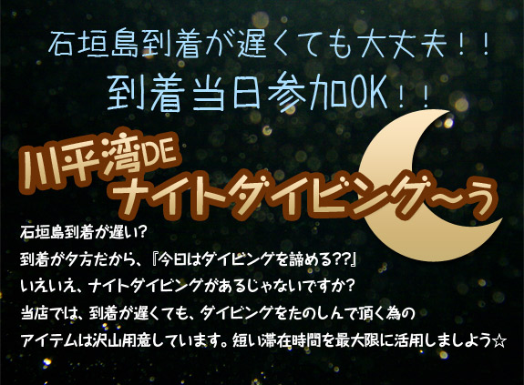 石垣島の川平湾でナイトダイビング　石垣島到着が遅くても当日参加OK！