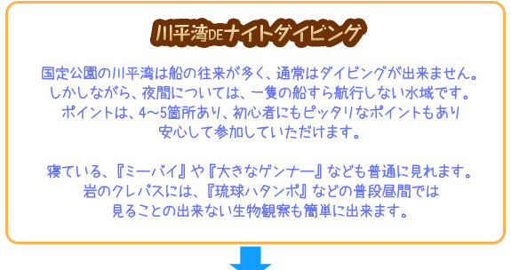 石垣島の川平湾DEナイトダイビングでしかできない事。川平湾でダイビング！！